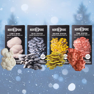 10 Best Mushroom Lover Gifts for 2025