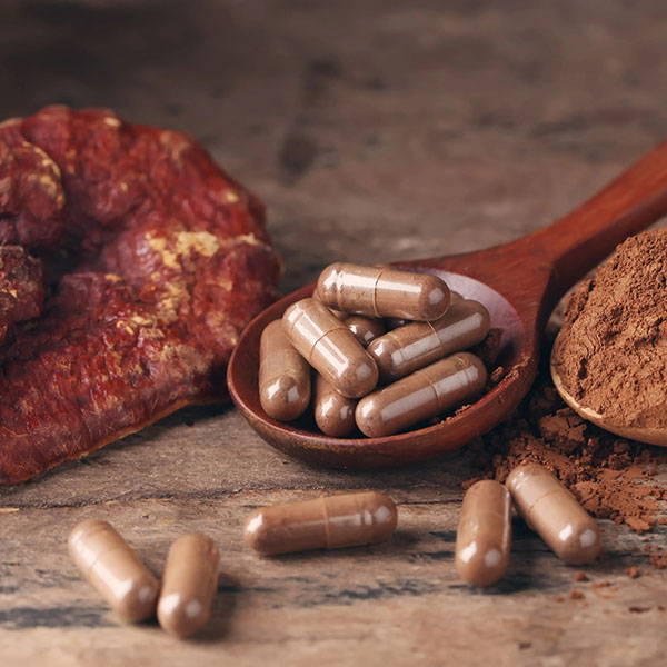 Mycelium vs. Fruiting Body: Which Medicinal Mushroom Supplements are Best?