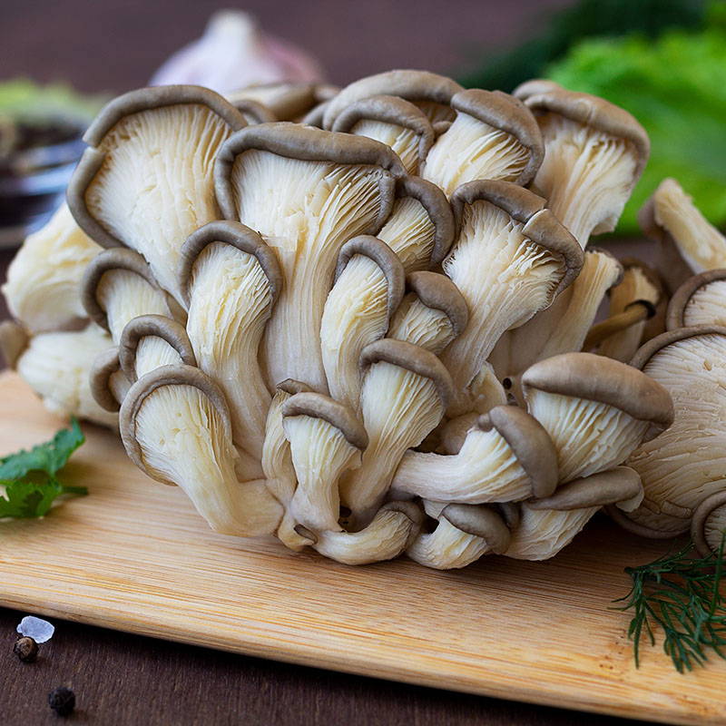 5 Holiday Mushroom Recipes
