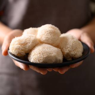 lion's mane in bowl square