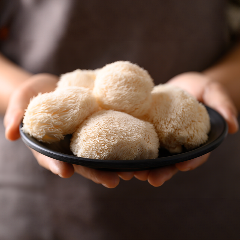 lion's mane in bowl square