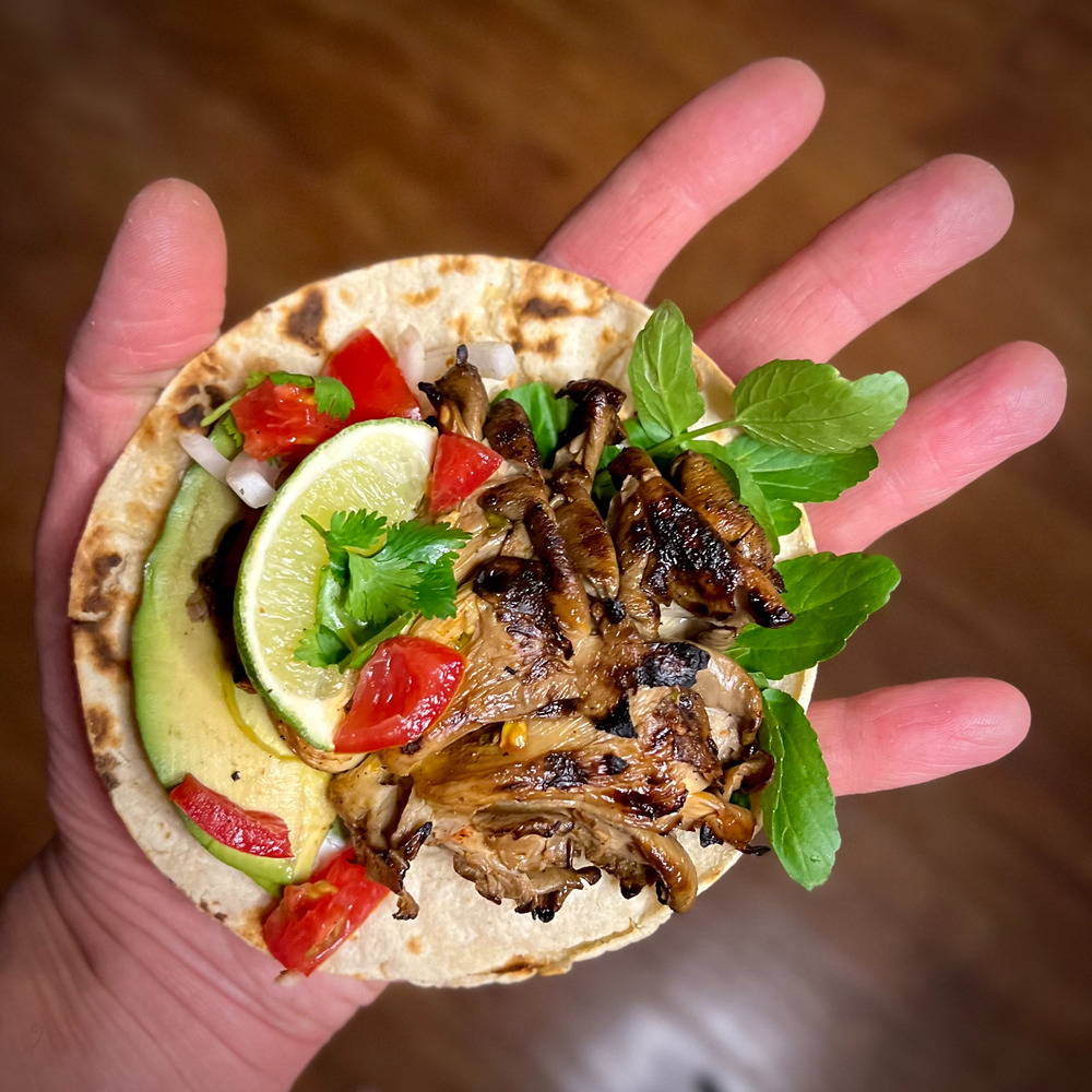 Spore to Fork's 5 Best Blue Oyster Mushroom Recipes