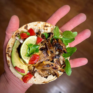 Spore to Fork's 5 Best Blue Oyster Mushroom Recipes