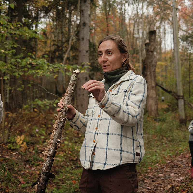 Exploring the Hidden World of Mushroom Conservation with Gabriela D'Elia from the Fungal Diversity Survey