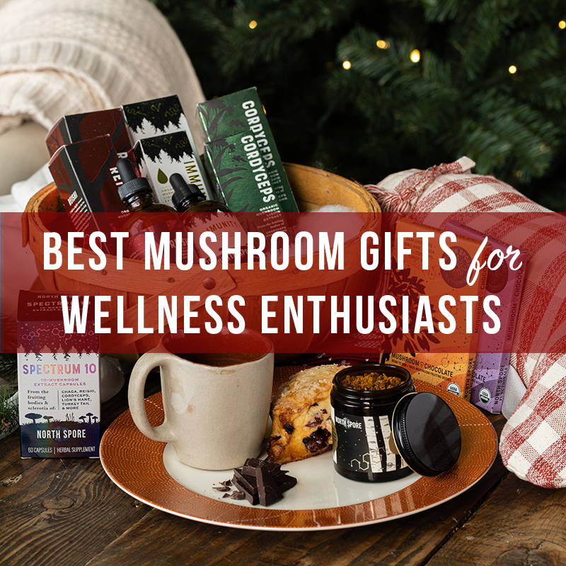 Best Mushroom Gifts for Wellness Enthusiasts
