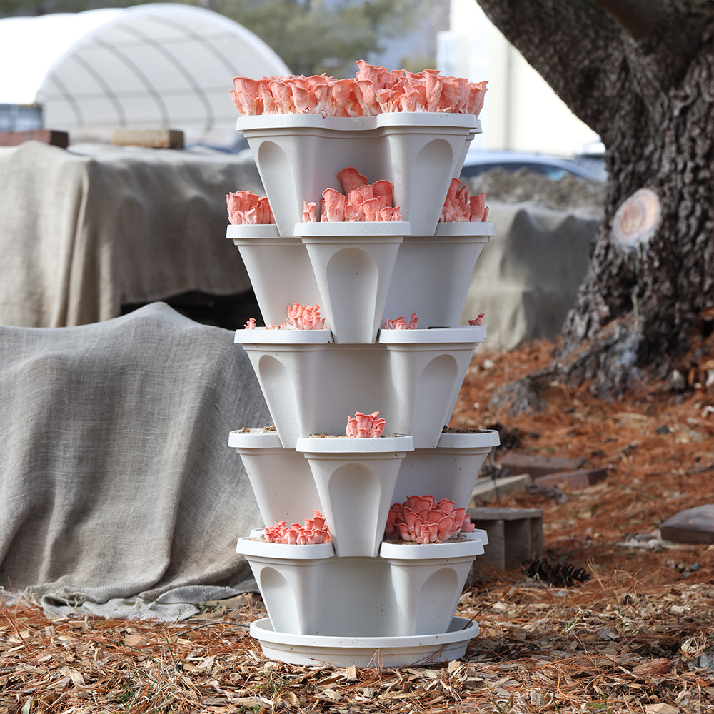 A vertical stack of white containers filled with pink plant material.