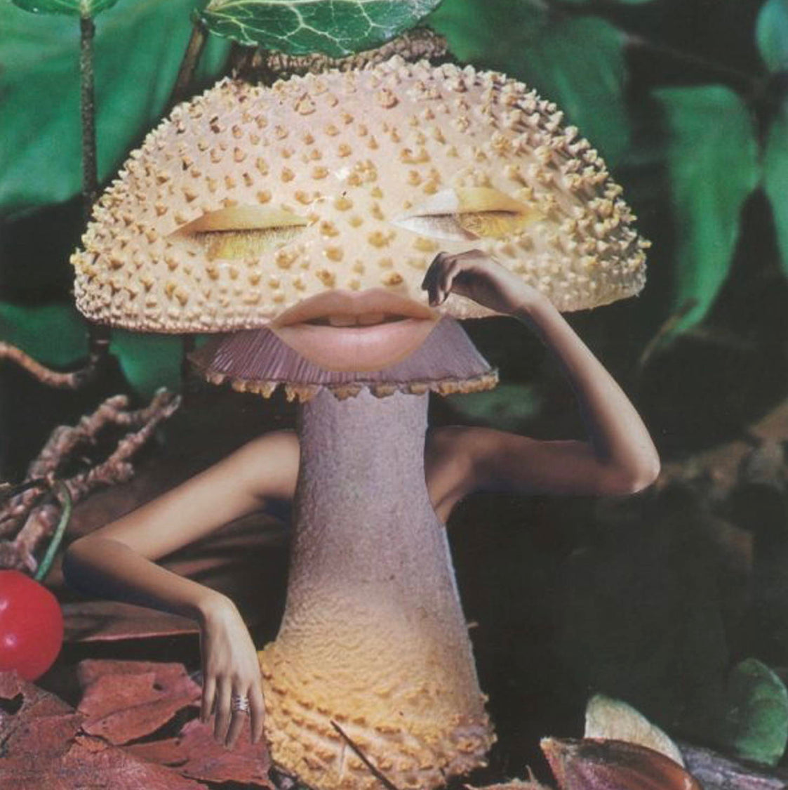 The Mycological Muse: How Mushrooms Inspire Art & Fashion