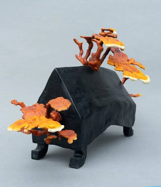 Fungal Forms & Basement Cultivation with  Artist Sam Shoemaker