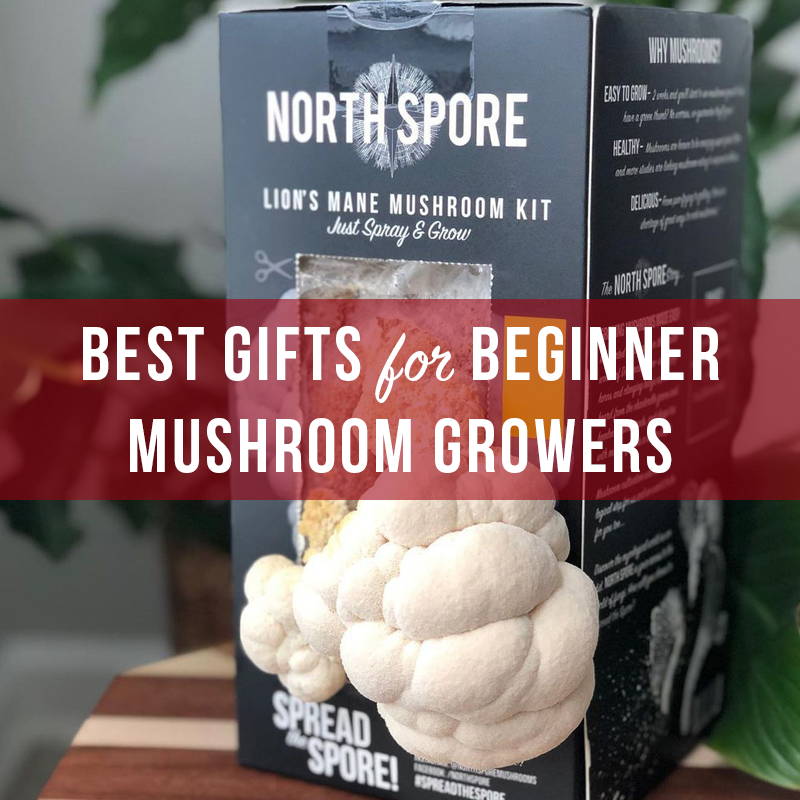 Best Gifts for Beginner Mushroom Growers