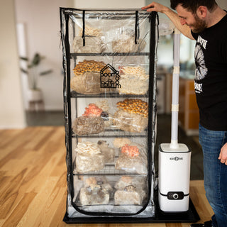 How to Grow Mushrooms in a Tent: The Complete BoomRoom II Tek Guide