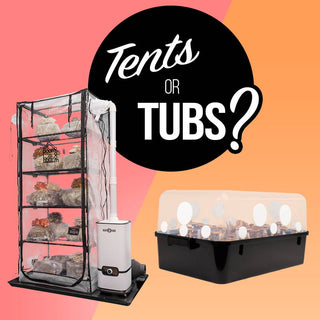 tents vs tubs