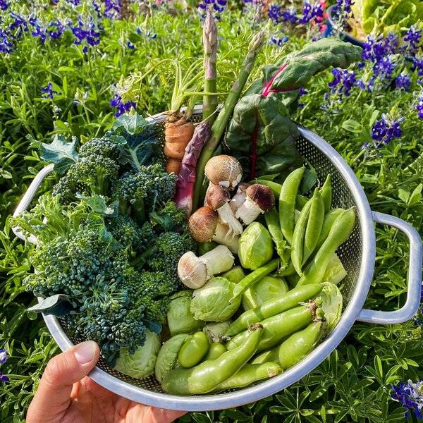 Growing in the Desert Part II: with Jacq