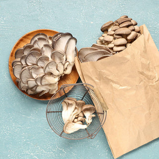 How to Cook Blue Oyster Mushrooms (the Right Way)