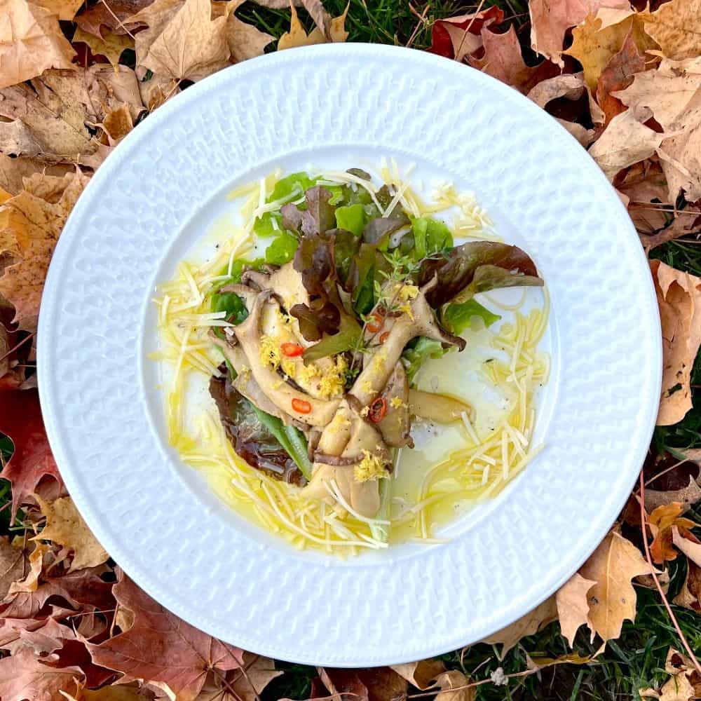 5 of the Best King Trumpet Mushroom Recipes