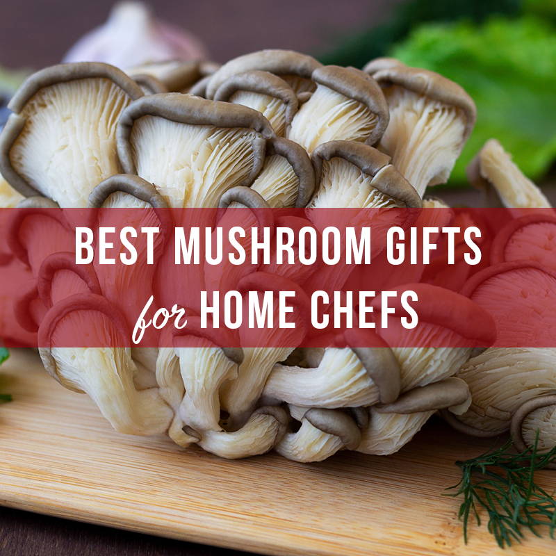 Best Mushroom Gifts for Home Chefs