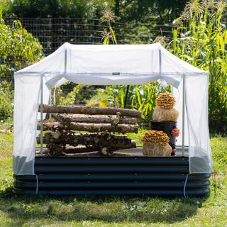 4 Ways to Grow Mushrooms in a MycoSphere