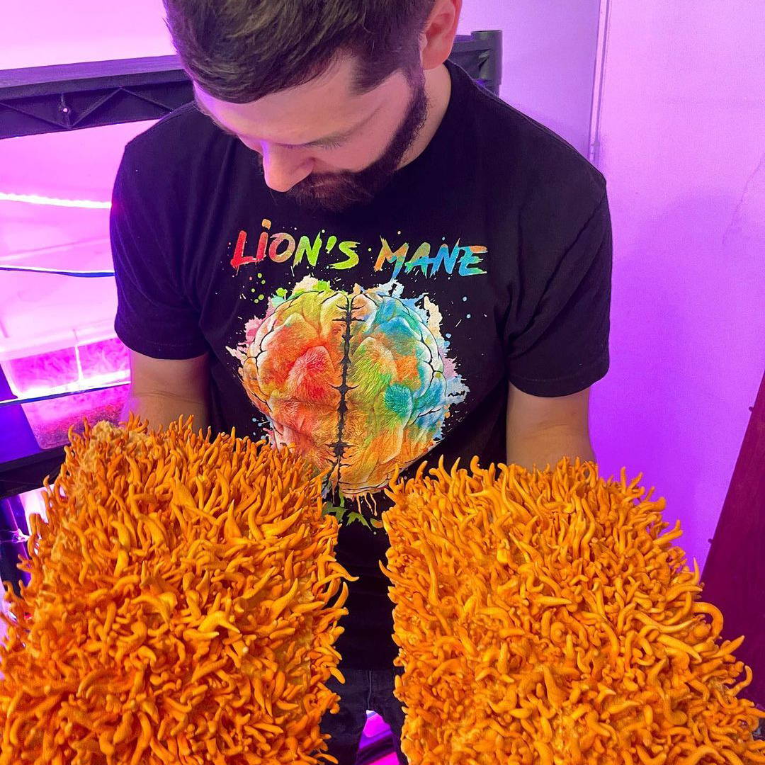 Spore 'n Sprout: DIY Home Mushroom Cultivation Skills