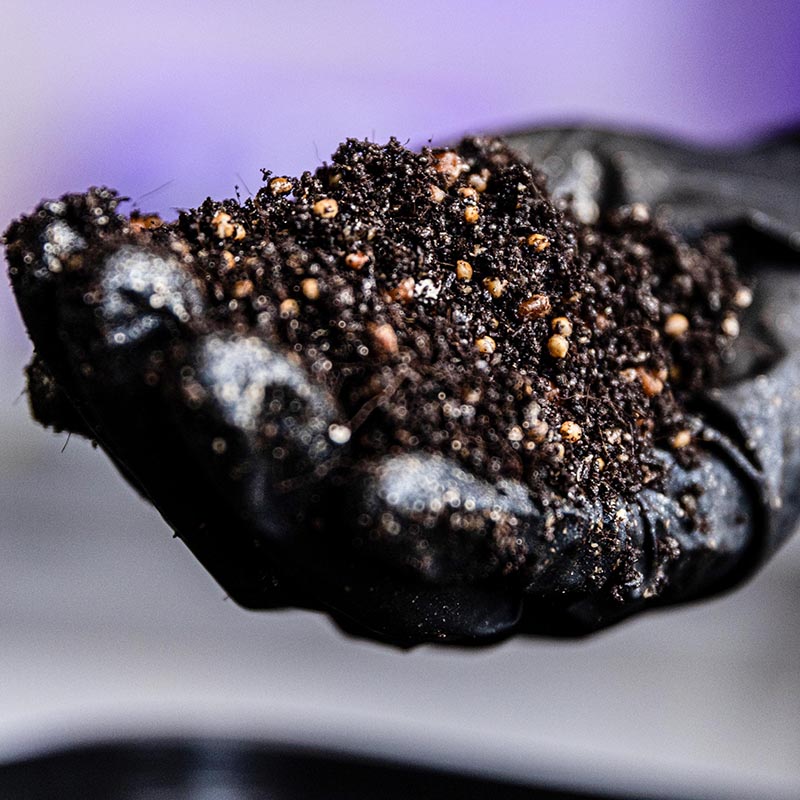 How to Use CVG Substrate for Growing Mushrooms