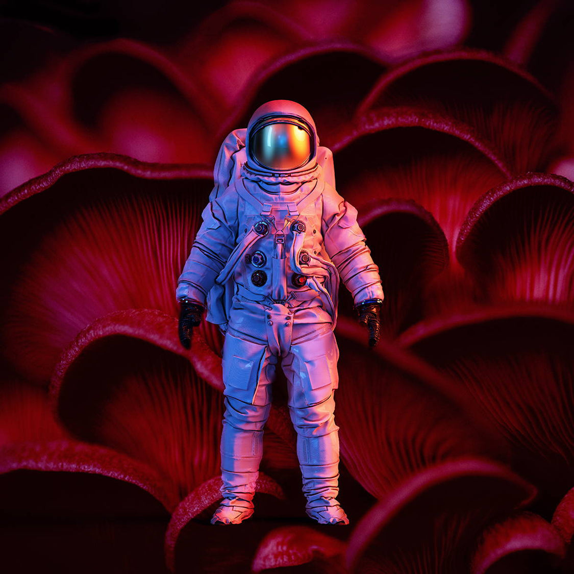 How Fungi Can Support Life in Space