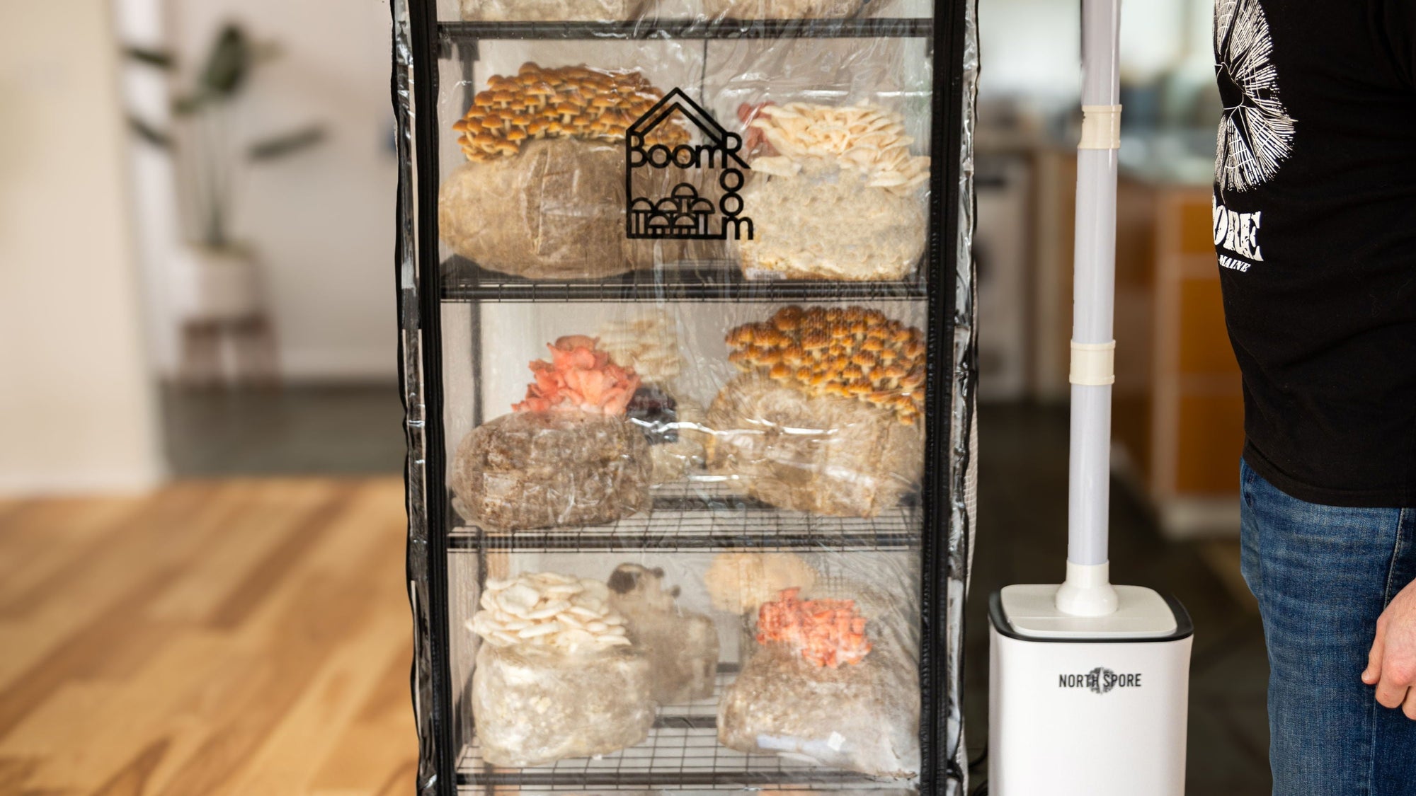 How to Grow Mushrooms in a Tent: The Complete BoomRoom II Tek Guide