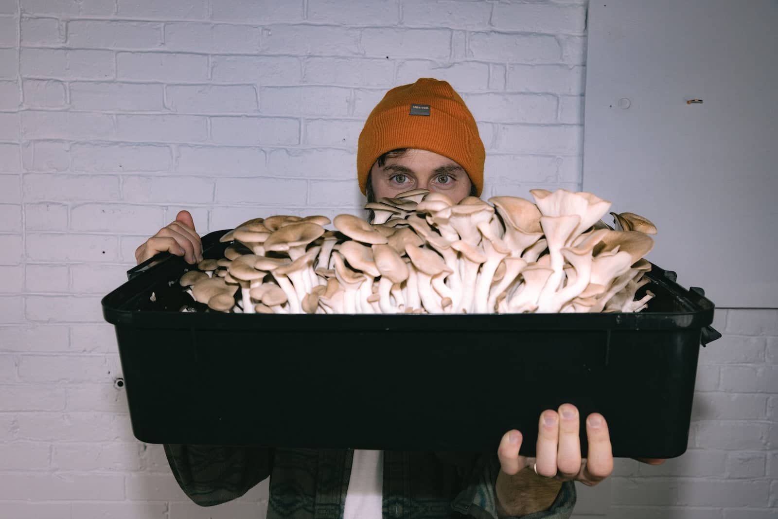 Mushroom Grow Kits & Monotubs | Indoor & Outdoor Growing North Spore Mushroom Grow Kits & Monotubs | Indoor & Outdoor Growing North Spore