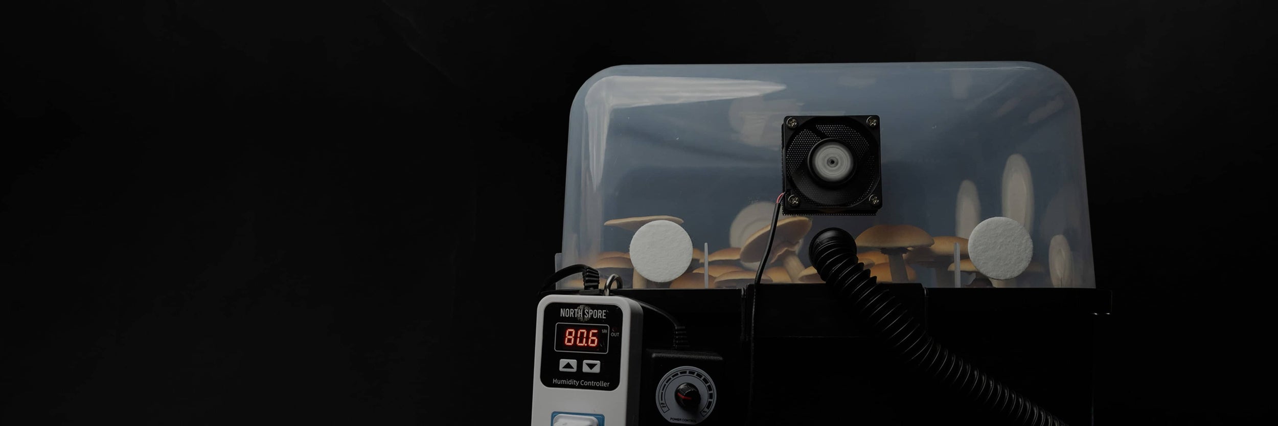 A mushroom fruiting chamber with a humidity controller displays 80.6°F, mushrooms growing inside, and a fan on the transparent lid, all set against a dark background.