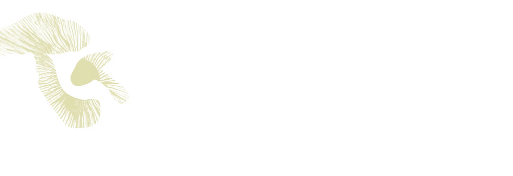 Light beige mushroom gills illustration on the left side of a mostly white, empty background.