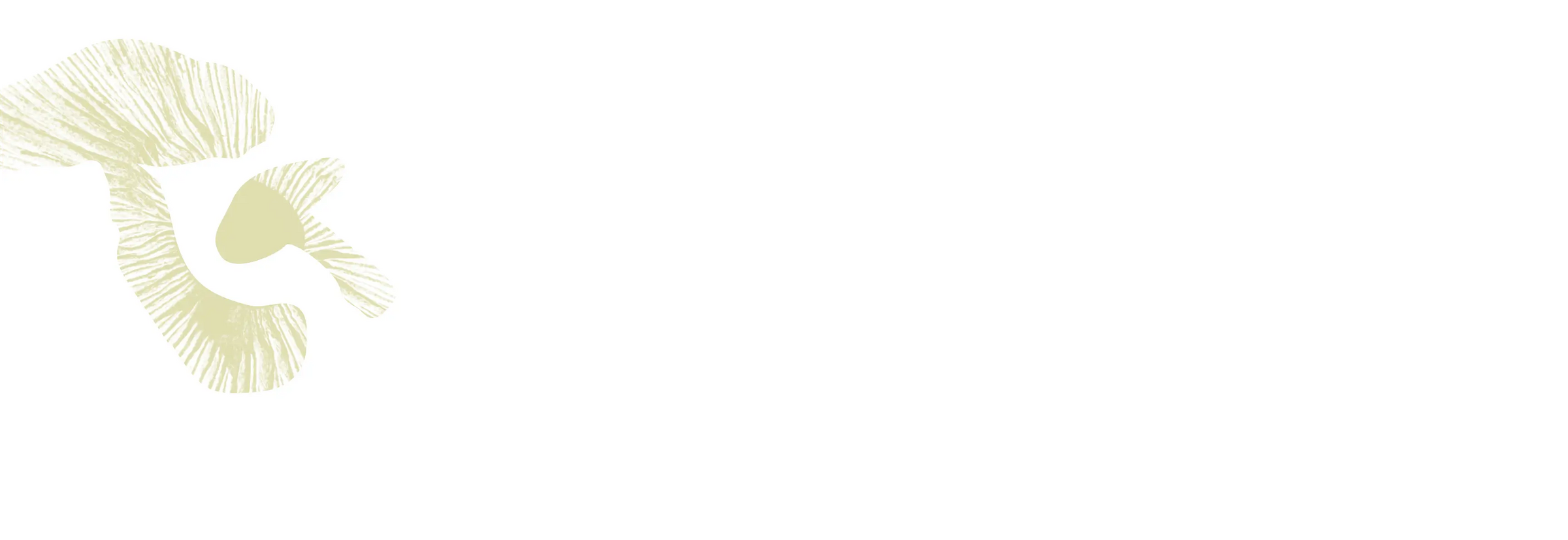 Light beige mushroom gills illustration on the left side of a mostly white, empty background.