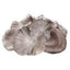 Italian Oyster