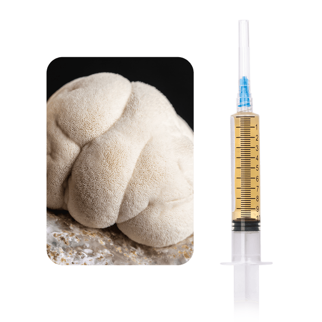 Organic Lion's Mane Mushroom Liquid Culture Syringe