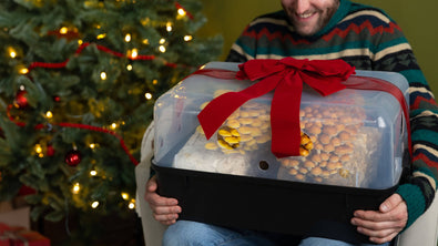A smiling person in a striped sweater holds a large mushroom growing kit wrapped with a red bow, sitting beside a decorated Christmas tree.