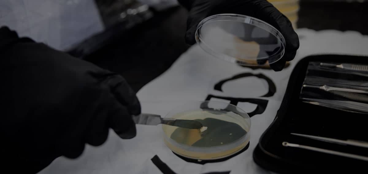 A person wearing black gloves uses a spatula to spread a sample on a petri dish with other lab tools nearby.