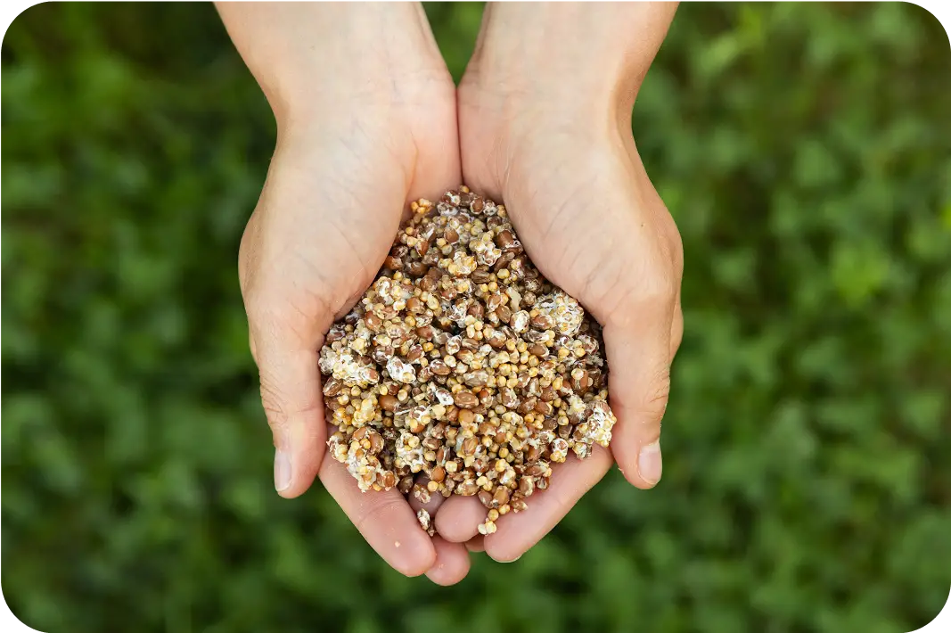 Two hands gently cupping a pile of multi-colored seeds or grains, with a blurred green background of grass or foliage.