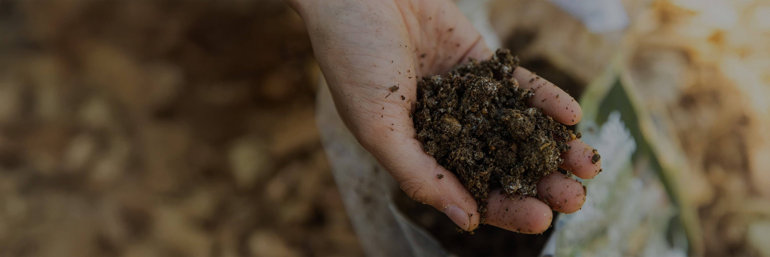 A close-up of a hand holding a small amount of soil or compost, with a blurred natural background.
