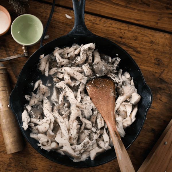 How to Cook Blue Oyster Mushrooms (the Right Way)