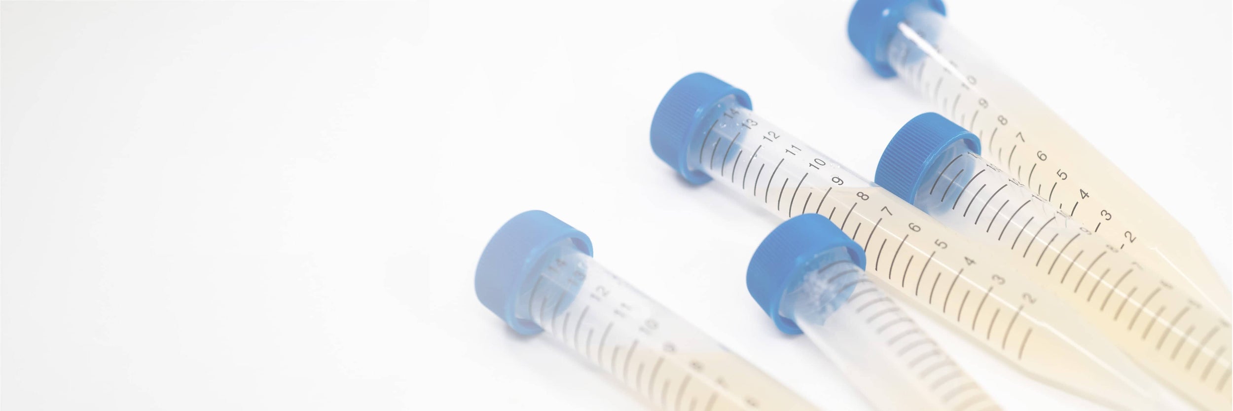 Four clear laboratory test tubes with blue caps, filled with a pale liquid, are arranged diagonally on a white surface.