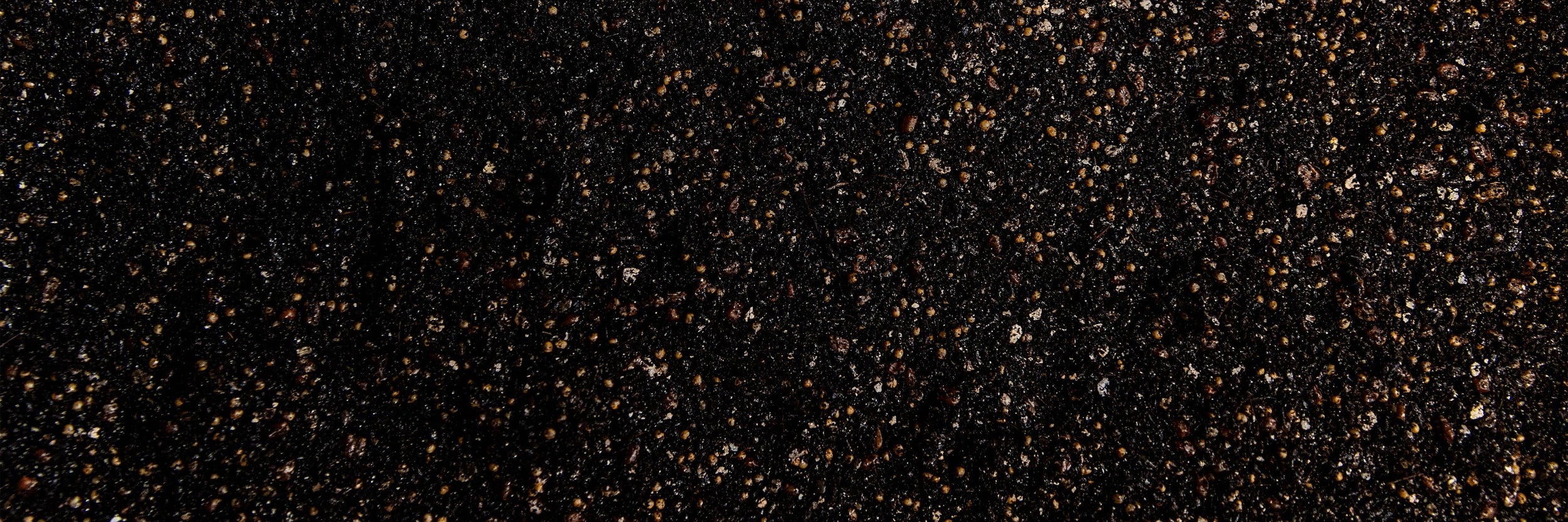Close-up of dark soil with small pebbles and grains visible, creating a rough, textured surface.