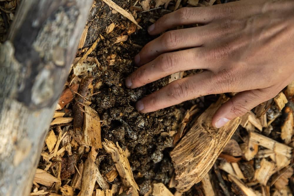 A hand touching a mixture of soil and wood chips on the ground, next to a wooden log.
