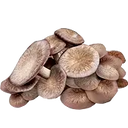 <span class="metafield-string">Black King</span>