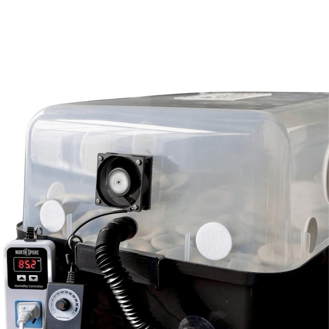 A plastic humidity-controlled incubator with a digital display showing 82.2°F, a fan, and various controls, used for growing mushrooms.