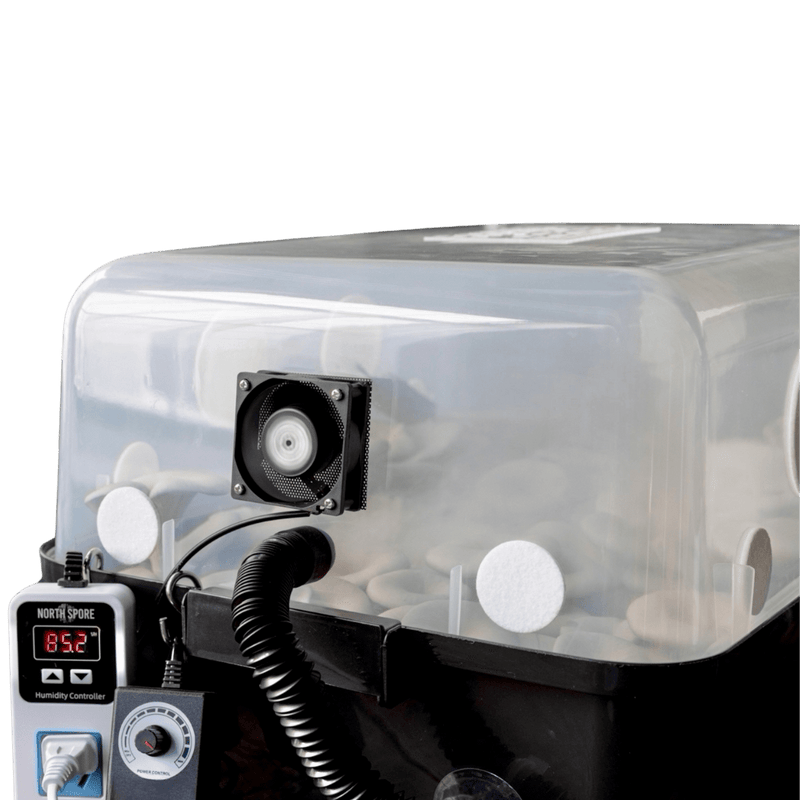 A plastic humidity-controlled incubator with a digital display showing 82.2°F, a fan, and various controls, used for growing mushrooms.