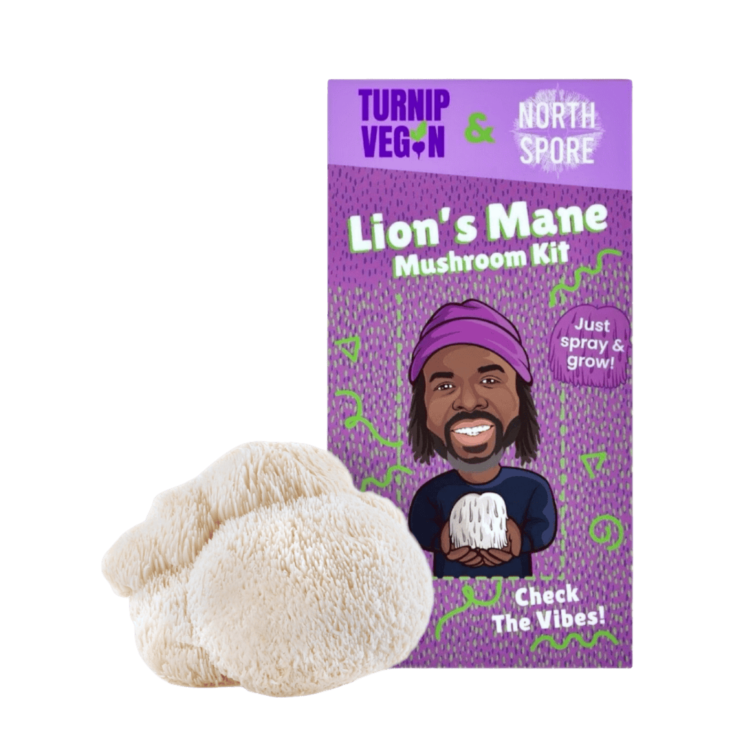 Brand Collab Turnip Vegan Organic Lion's Mane Mushroom Growing Kit