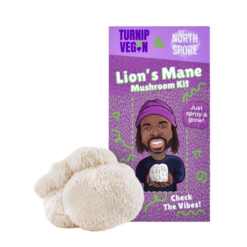Brand Collab Turnip Vegan Organic Lion's Mane Mushroom Growing Kit