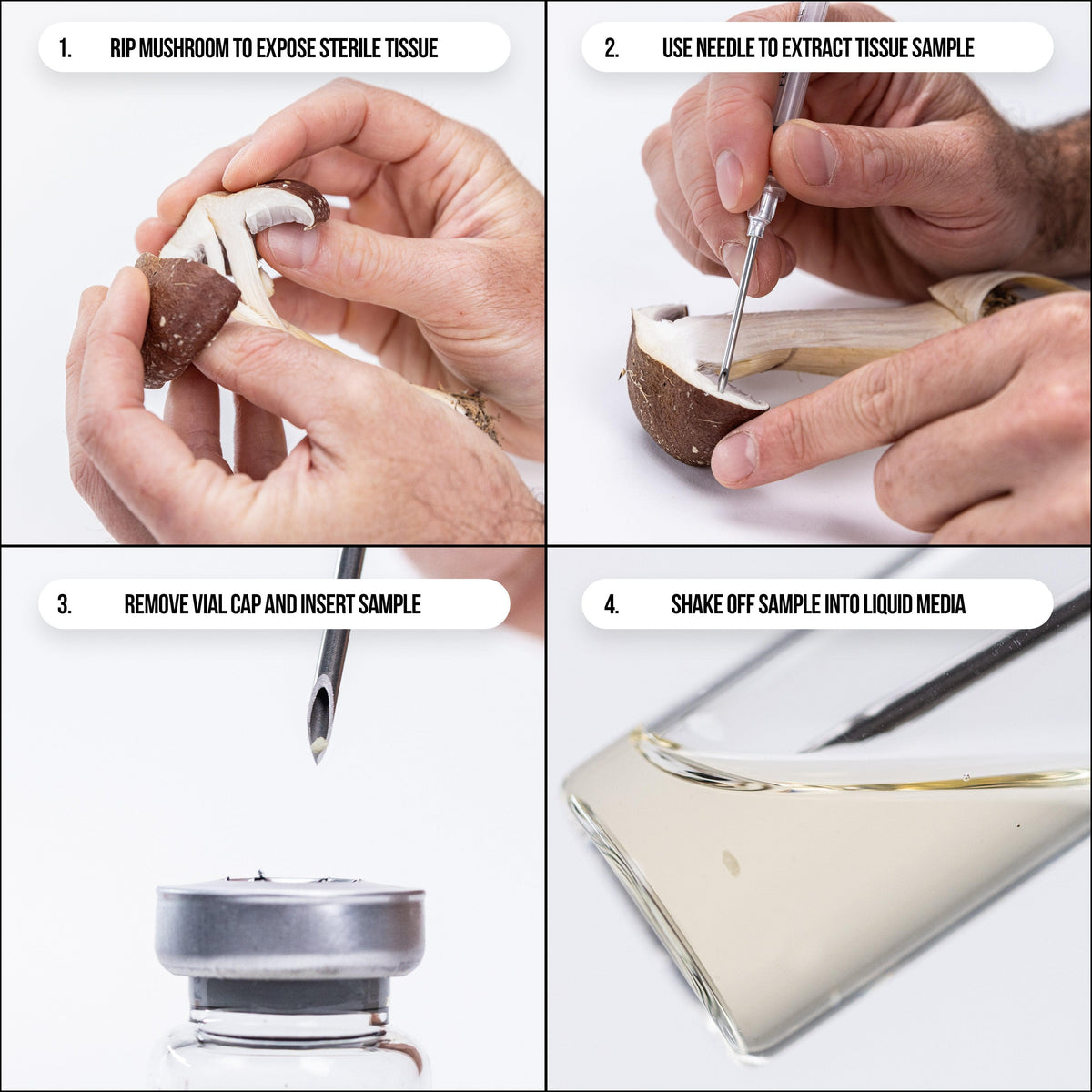 Cultivating Tools Liquid Culture Cloning Kit