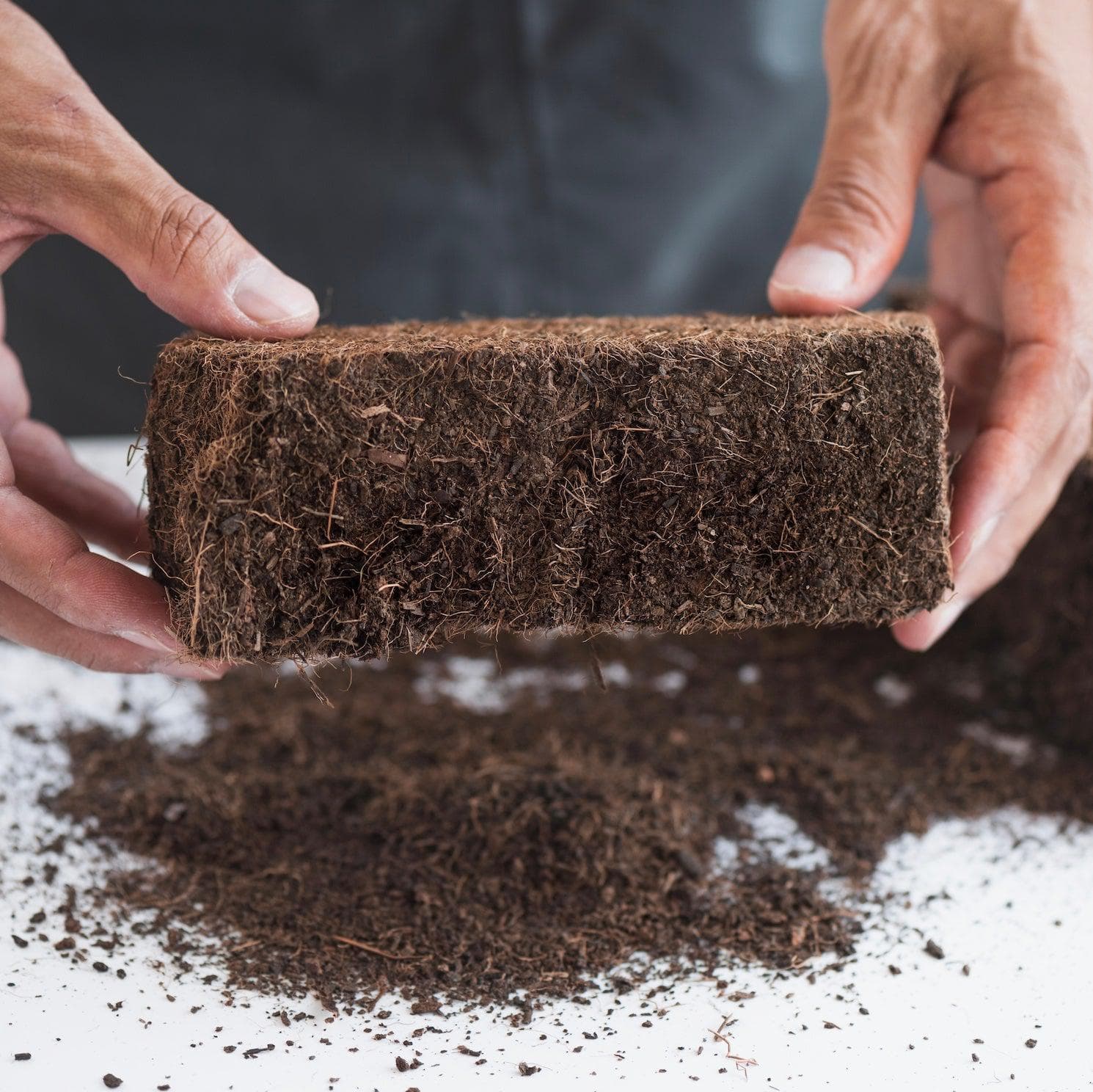Myco Coco' Compressed Coco Coir Substrate & Casing Layer – North Spore