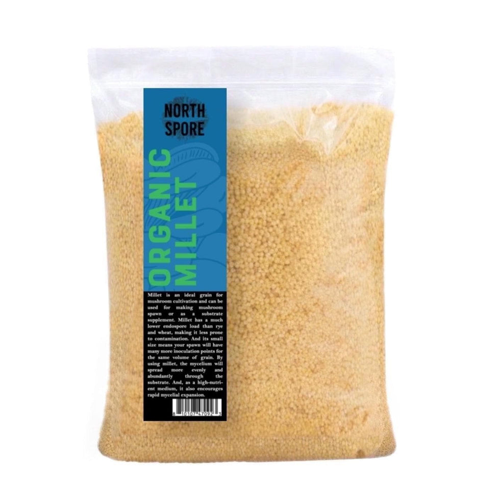 Millet Grain Mushroom Substrate Supplement North Spore