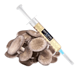 Image thumbnail: Culture Organic Black King Mushroom Liquid Culture Syringe