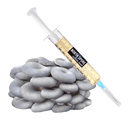 <span class="metafield-string">Blue Oyster</span>