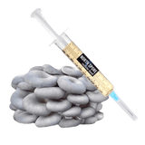 Image thumbnail: Culture Organic Blue Oyster Mushroom Liquid Culture Syringe