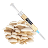 Image thumbnail: Culture Organic Elm Oyster Mushroom Liquid Culture Syringe